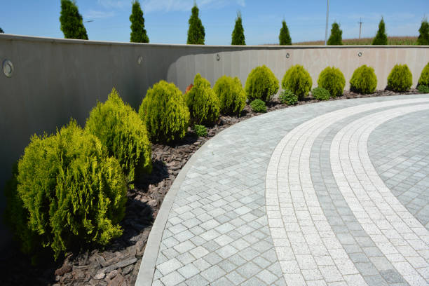 Best Driveway Pavers Near Me  in Villa Ridge, MO
